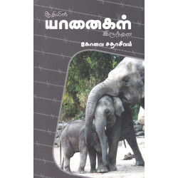 ஆதியில் யானைகள் இருந்தன