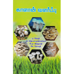 காளான் வளர்ப்பு காளான் வளர்ப்பு