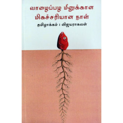 வாழைப்பழ மீனுக்கான மிகச்சரியான நாள்