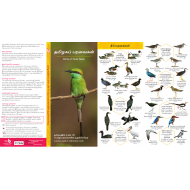 தமிழகப் பறவைகள் | Birds of Tamil Nadu: தமிழகத்தில் உள்ள 138 பொதுப்பறவைகளின் குறுங்கையேடு
