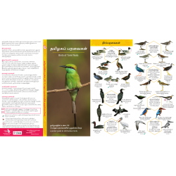 தமிழகப் பறவைகள் | Birds of Tamil Nadu: தமிழகத்தில் உள்ள 138 பொதுப்பறவைகளின் குறுங்கையேடு