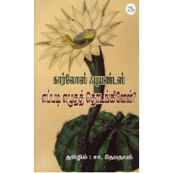 எப்படி எழுதத் தொடங்கினேன்?