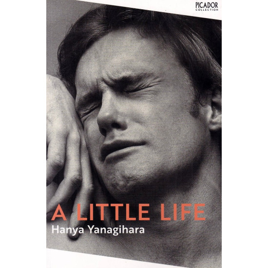 A Little Life A Little Life