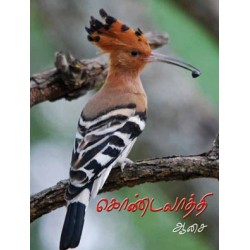 கொண்டலாத்தி கொண்டலாத்தி