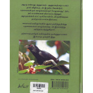 கொண்டலாத்தி