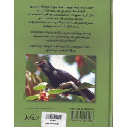 கொண்டலாத்தி கொண்டலாத்தி