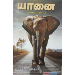 யானை.