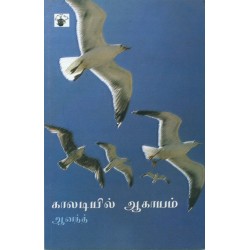காலடியில் ஆகாயம் காலடியில் ஆகாயம்