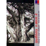 முடிவில்லாத உரையாடல்: பெண்கள் நாடகங்கள் பன்னிரெண்டு