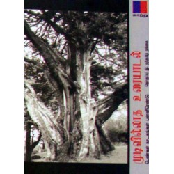 முடிவில்லாத உரையாடல்: பெண்கள் நாடகங்கள் பன்னிரெண்டு