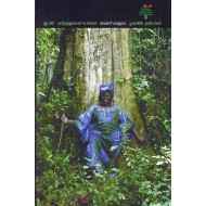 மாற்றத்துக்காண பெண்கள் வாங்காரி மாத்தாய்