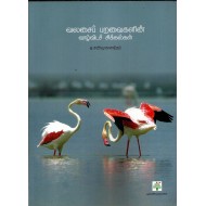 வலசைப் பறவைகளின் வாழ்விடச் சிக்கல்கள்