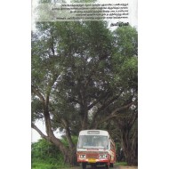 நெடுஞ்சாலை