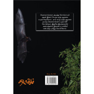 தமிழகத்தின் இரவாடிகள்