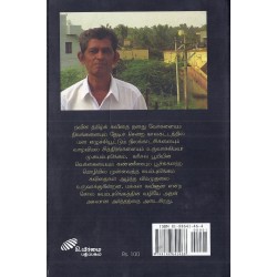 நிறம் அழிந்த வண்ணத்துப் பூச்சிகள்