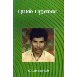 புயல் பறவை புயல் பறவை