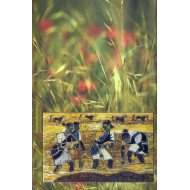 தெபாகா எழுச்சி